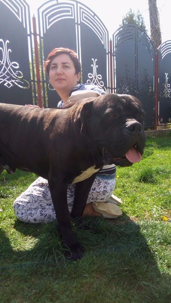 IMG-20170413-WA0017 - Cane Corso Italiano METAL POWER KENNEL