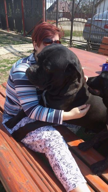 IMG-20170413-WA0020 - Cane Corso Italiano METAL POWER KENNEL