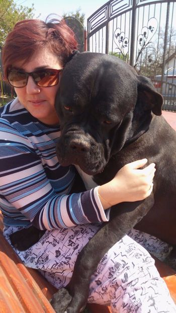 IMG-20170413-WA0024 - Cane Corso Italiano METAL POWER KENNEL