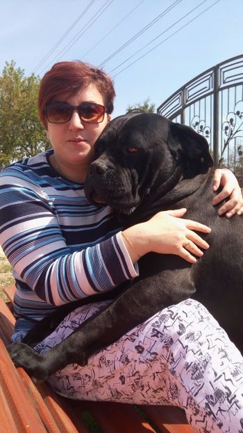 IMG-20170413-WA0025 - Cane Corso Italiano METAL POWER KENNEL