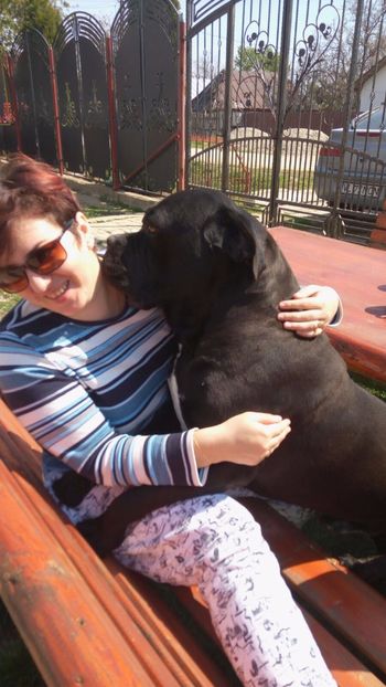 IMG-20170413-WA0027 - Cane Corso Italiano METAL POWER KENNEL