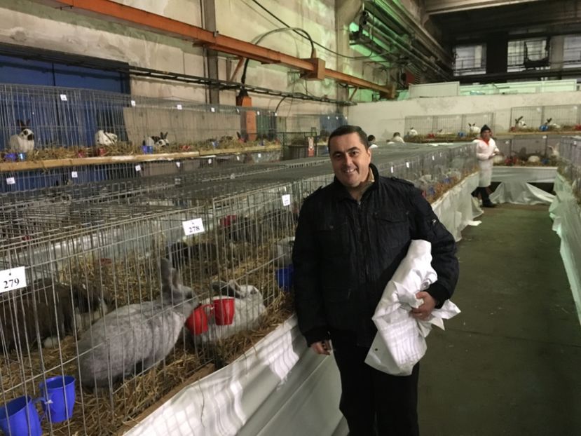 Arbitru cursant - 2 - Rezultate Expoziția Nationala a României- Băicoi 2017