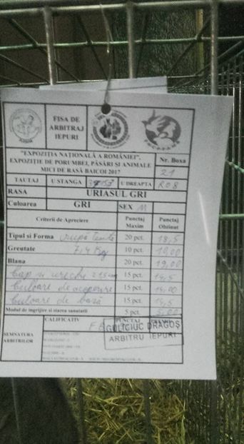  - Expozitia Nationala Baicoi 2017-rezultatele mele