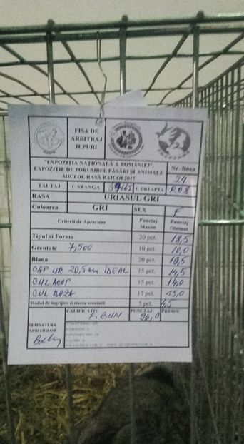  - Expozitia Nationala Baicoi 2017-rezultatele mele