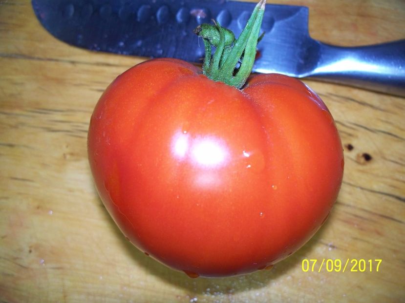 BIG DADDY (2) - BIG DADDY 2017-18