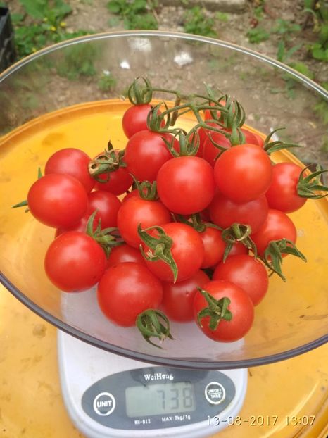 CHERRY CHADWICK -DE LA UN FIR - CHERRY CHADWICK