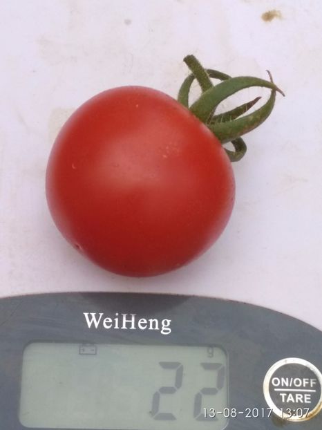 CHERRY CHADWICK (3) - CHERRY CHADWICK