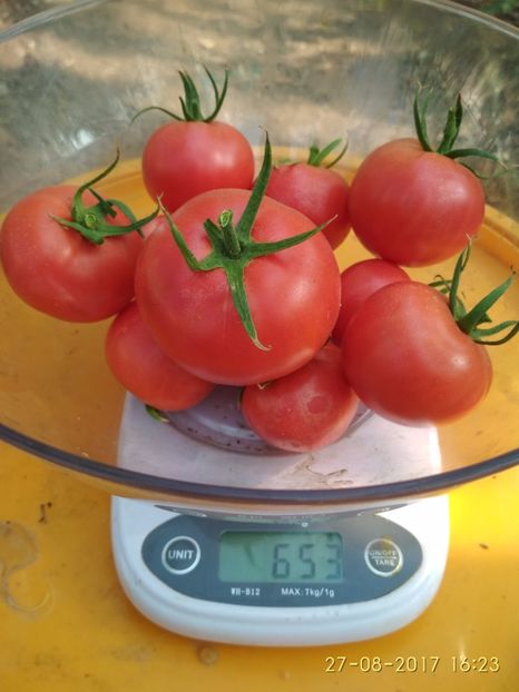 CHIO CHIO SAN -DE LA UN FIR - CHIO CHIO SAN