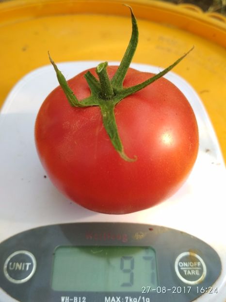 CHIO CHIO SAN (5) - CHIO CHIO SAN