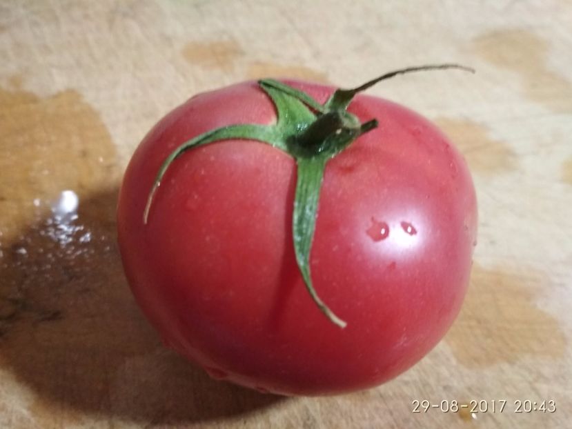 CHIO CHIO SAN (10) - CHIO CHIO SAN