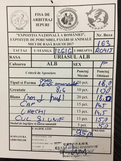  - 0 Rezultate expo Națională Băicoi 29 11-3 12 2017