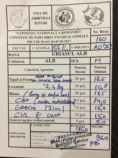  - 0 Rezultate expo Națională Băicoi 29 11-3 12 2017