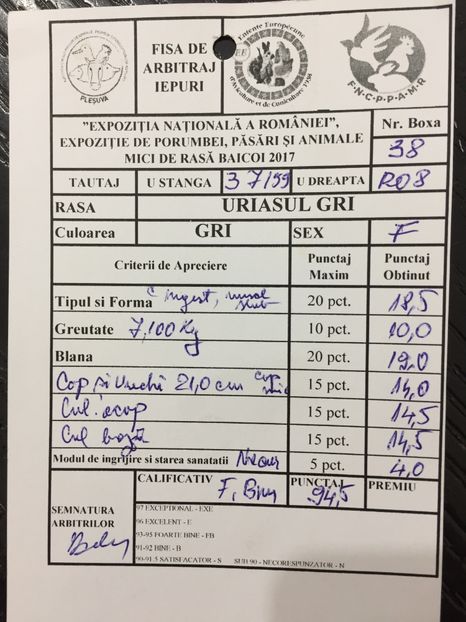 -1p Intretinere(Necurățare)??? - 0 Rezultate expo Națională Băicoi 29 11-3 12 2017