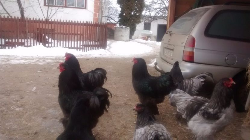  - 00-CONTACT 0746 126 026