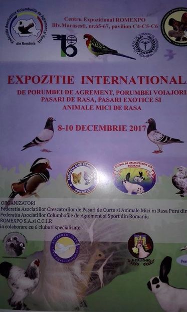 - T--TARGURI SI EXPOZITII