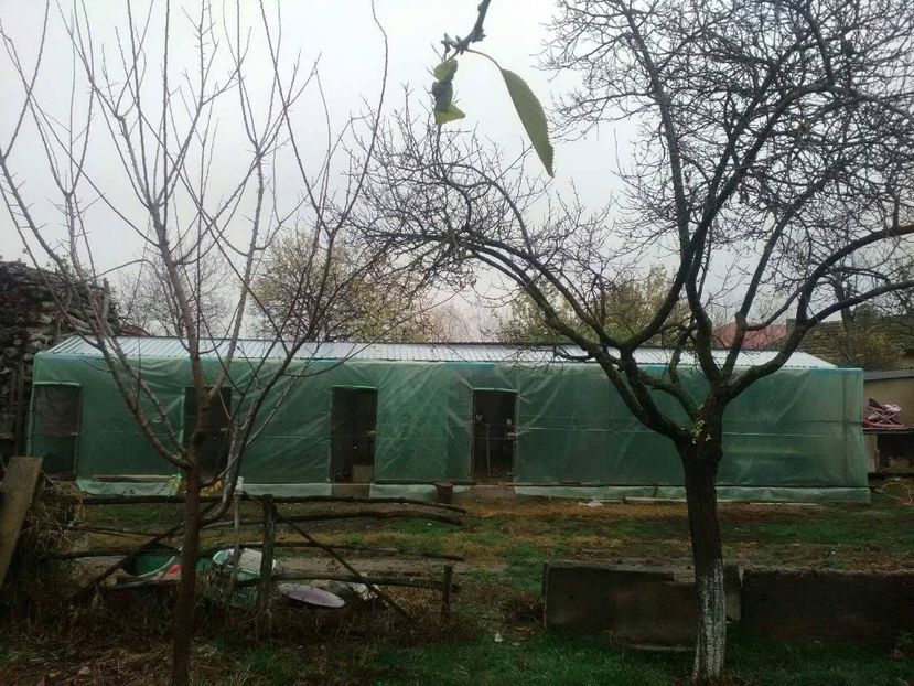 24139210_1737068266326862_1449757201_o - voliera