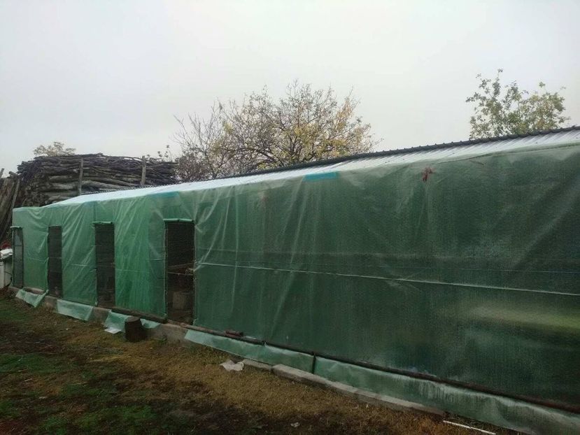 24139122_1737067846326904_683257865_o - voliera