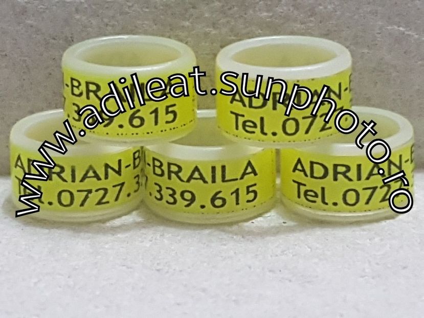 2017-12-05_22-32-32-149 - 1-A-INELE PERSONALIZATE 2018