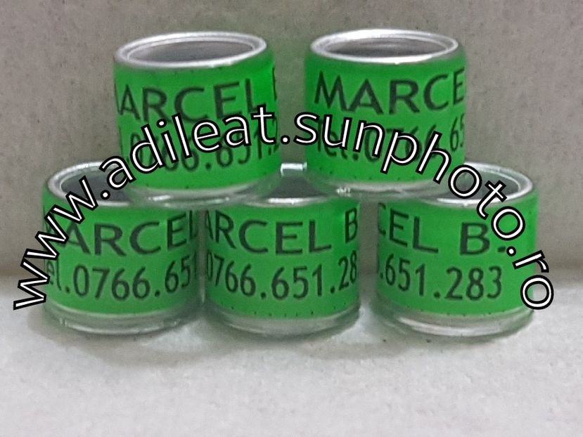 2017-12-05_22-34-14-454 - 1-A-INELE PERSONALIZATE 2018