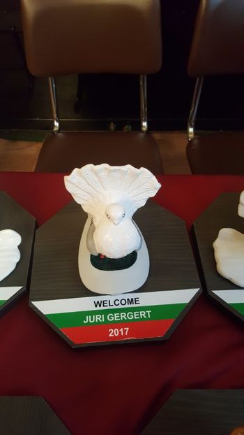 2017-12-02 11.57.42 - -machete-cupe-foto primite de invitati si participanti