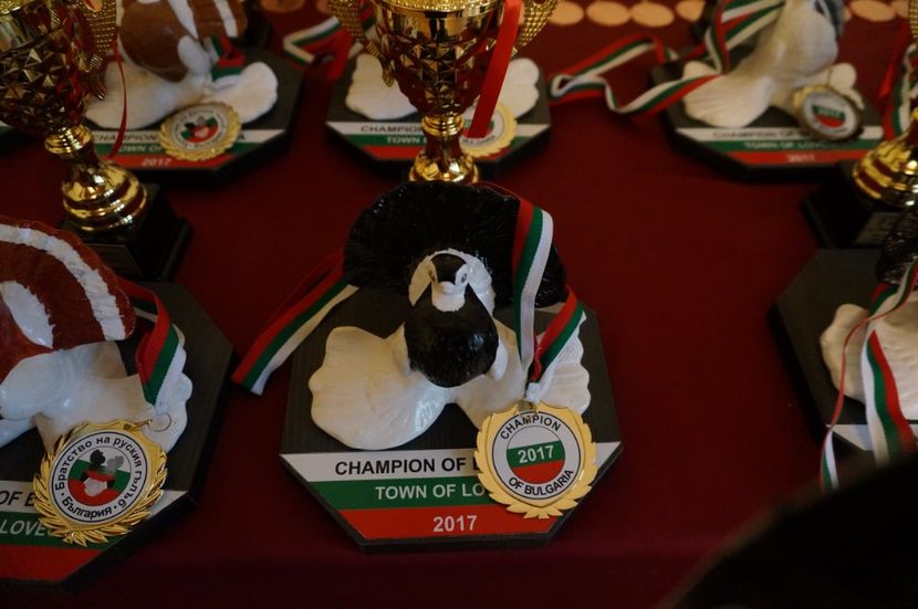  - -machete-cupe-foto primite de invitati si participanti