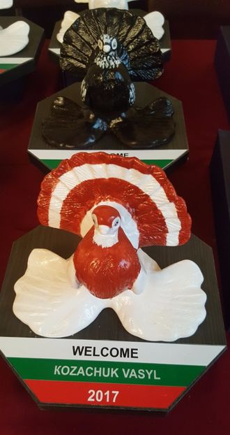 2017-12-02 11.56.59 (3) - -machete-cupe-foto primite de invitati si participanti