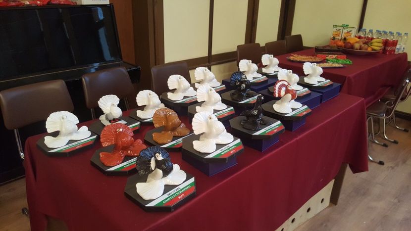 2017-12-02 11.55.42 - -machete-cupe-foto primite de invitati si participanti