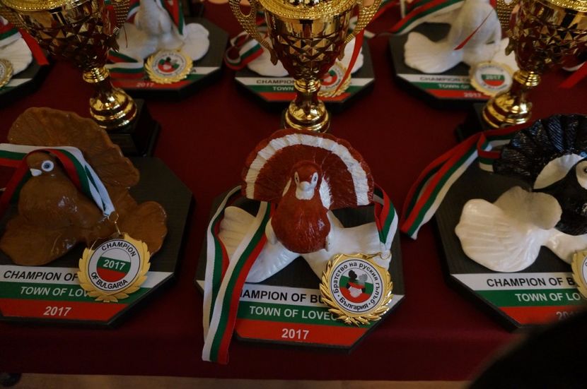  - -machete-cupe-foto primite de invitati si participanti