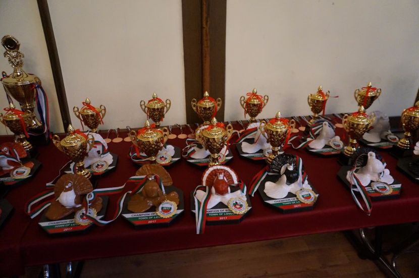  - -machete-cupe-foto primite de invitati si participanti