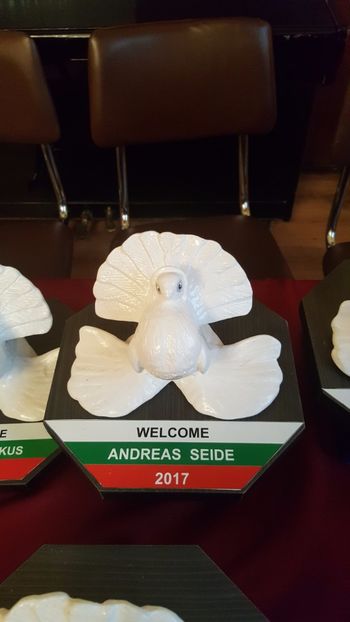 2017-12-02 11.57.24 - -machete-cupe-foto primite de invitati si participanti