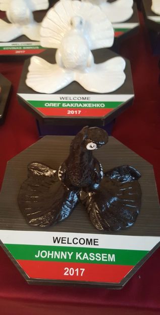 2017-12-02 11.56.55 (3) - -machete-cupe-foto primite de invitati si participanti