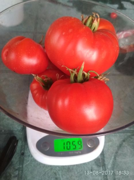 DE TIGANESTI-UN CIORCHINE - DE TIGANEȘTI 2014-2017