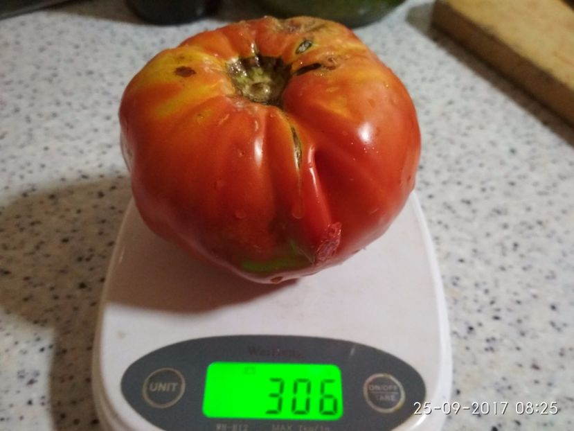 DOMNESTI TĂRGOVIȘTE 306 - DOMNEȘTI GIGANT DE TÂRGOVIȘTE 2017