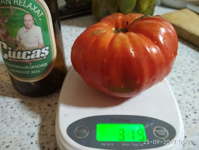 DOMNESTI TĂRGOVIȘTE 319 (1) - DOMNEȘTI GIGANT DE TÂRGOVIȘTE 2017