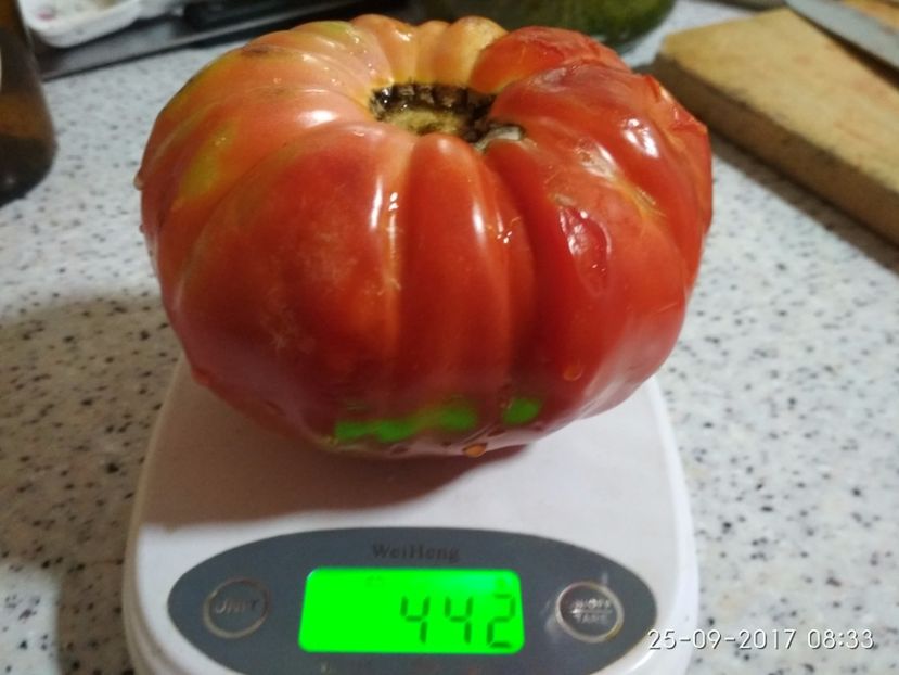 DOMNESTI TĂRGOVIȘTE 442 (2) - DOMNEȘTI GIGANT DE TÂRGOVIȘTE 2017