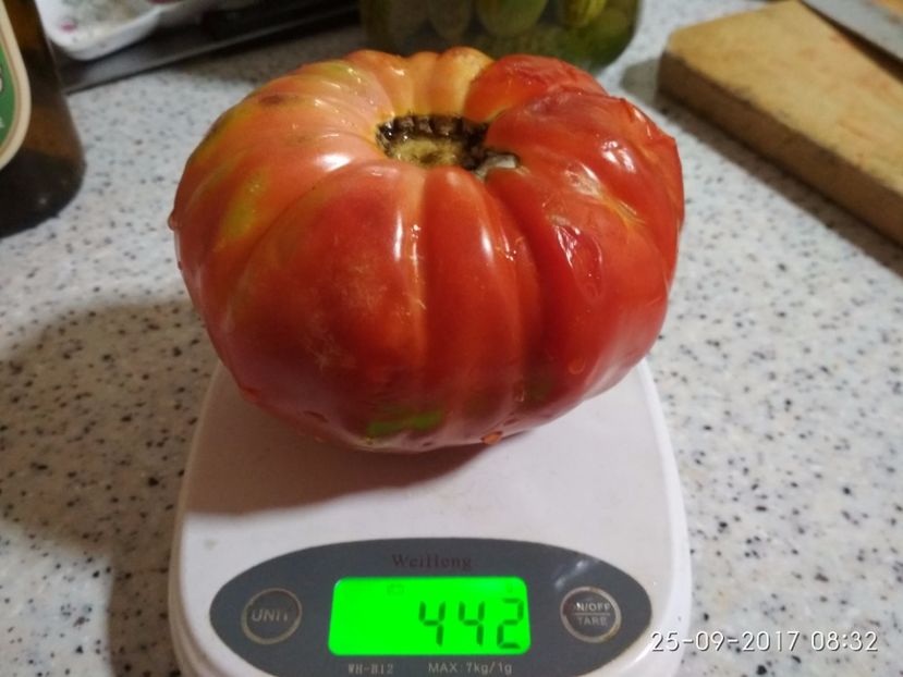 DOMNESTI TĂRGOVIȘTE 442 (3) - DOMNEȘTI GIGANT DE TÂRGOVIȘTE 2017