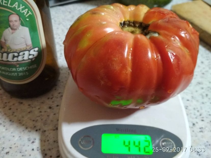 DOMNESTI TĂRGOVIȘTE 442 - DOMNEȘTI GIGANT DE TÂRGOVIȘTE 2017