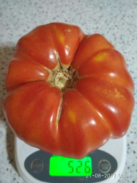 DOMNESTI TĂRGOVIȘTE 526 (1) - DOMNEȘTI GIGANT DE TÂRGOVIȘTE 2017