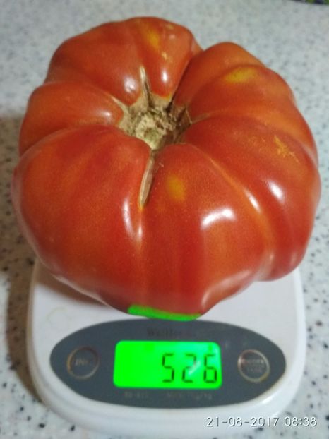 DOMNESTI TĂRGOVIȘTE 526 (2) - DOMNEȘTI GIGANT DE TÂRGOVIȘTE 2017