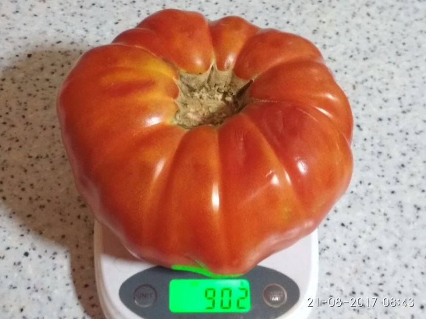 DOMNESTI TĂRGOVIȘTE 902 GR (2) - DOMNEȘTI GIGANT DE TÂRGOVIȘTE 2017