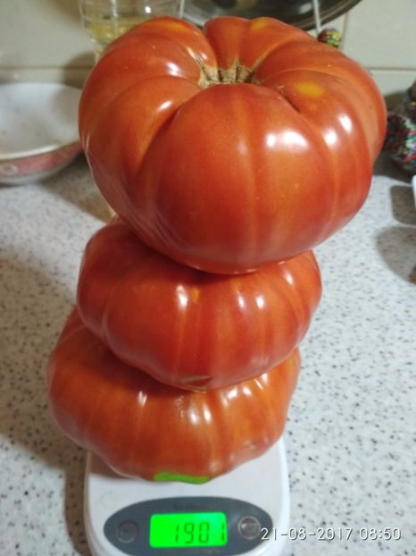 DOMNESTI TĂRGOVIȘTE D(37) - DOMNEȘTI GIGANT DE TÂRGOVIȘTE 2017