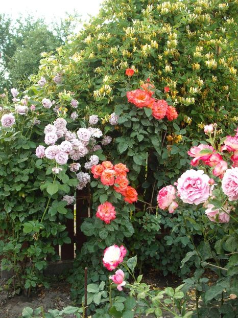  - Christopher Columbus