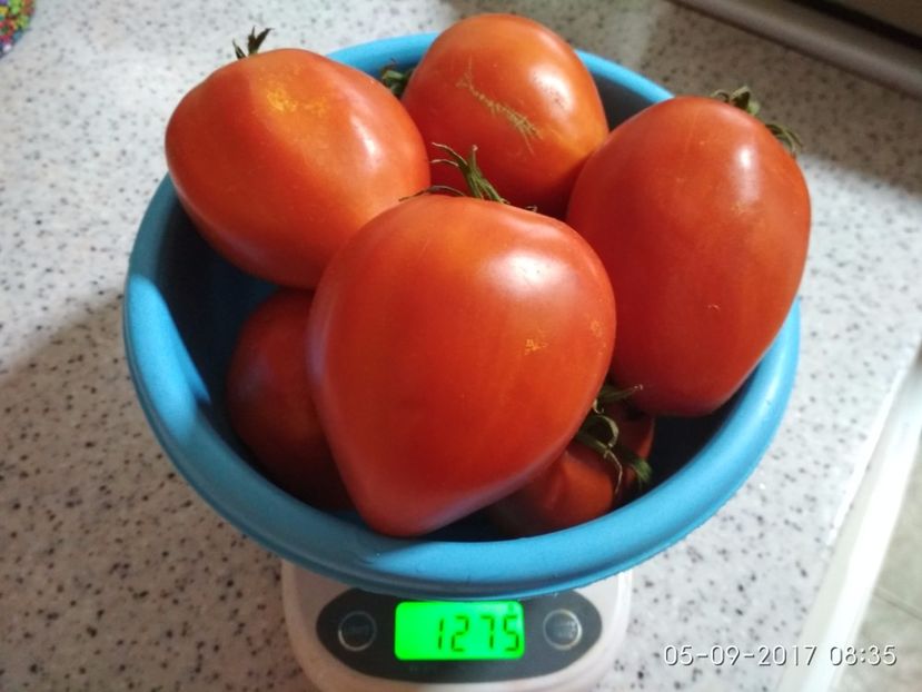 GIGANT INIMĂ DE BIVOL OPAL -DE LA UN FIR - GIGANT INIMĂ DE BIVOL OPAL