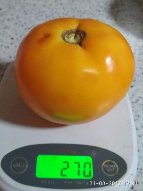 GALBENE DE BALENI (1) - GALBENE DE BĂLENI