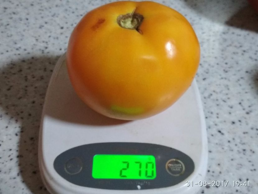 GALBENE DE BALENI (4) - GALBENE DE BĂLENI