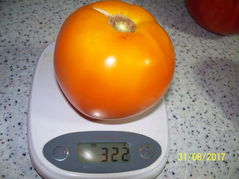 GALBENE DE BALENI (5) - GALBENE DE BĂLENI