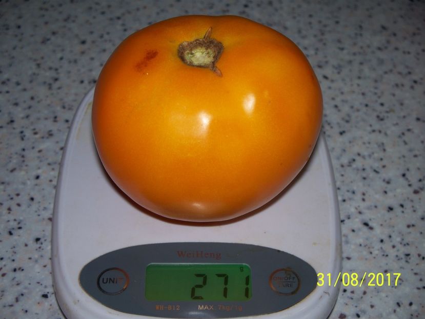 GALBENE DE BALENI (7) - GALBENE DE BĂLENI