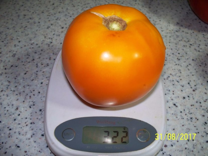 GALBENE DE BALENI (8) - GALBENE DE BĂLENI