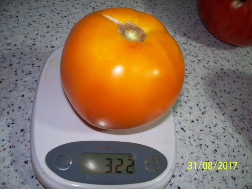 GALBENE DE BALENI (9) - GALBENE DE BĂLENI