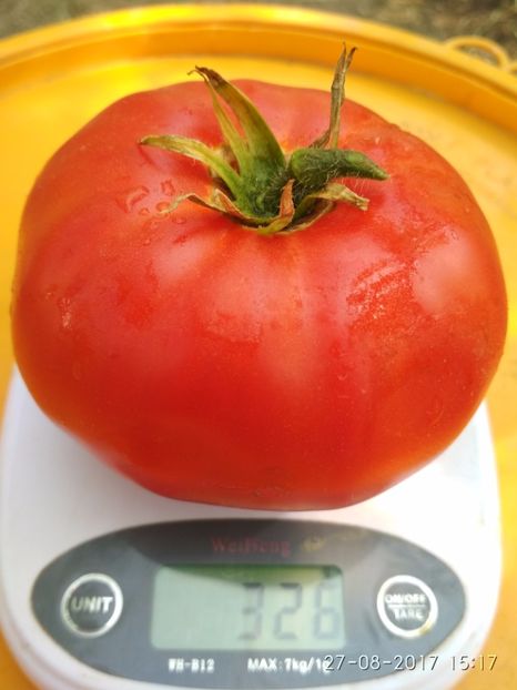 HARMONIA (3) - HARMONIA